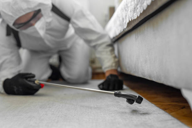 Professional Termite Control technician working in Marvin, NC
