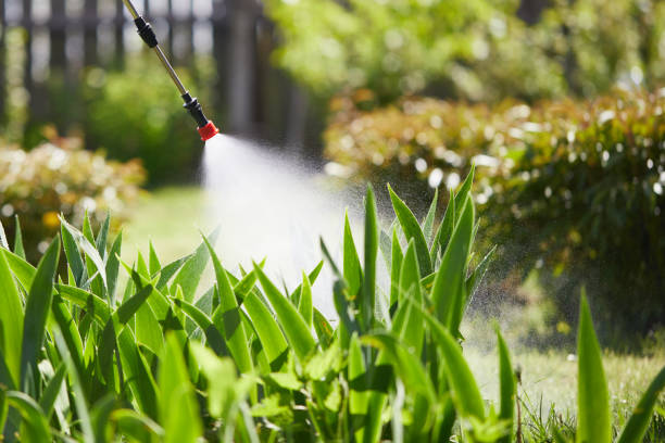 24/7 Emergency Termite Control experts in Marvin, NC